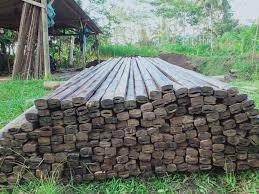 usuk bambu petung rendaman