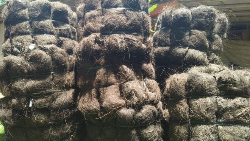 Jual Ijuk Resapan Termurah Bengkalis - Jual Ijuk Resapan Termurah Bengkalis Harga Terjangkau