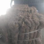 Jual Ijuk Resapan Termurah Blitar - Jual Ijuk Resapan Termurah Blitar Terpercaya
