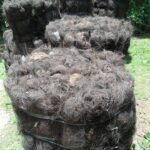 Jual Ijuk Resapan Termurah Demak - Jual Ijuk Resapan Termurah Demak Cepat dan Rapi