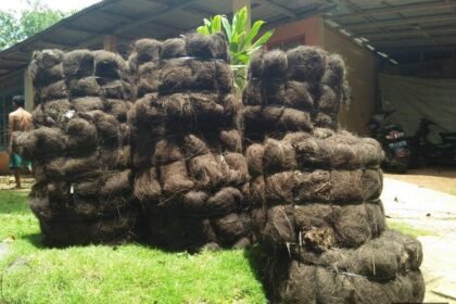Jual Ijuk Resapan Termurah Denpasar - Jual Ijuk Resapan Termurah Denpasar Harga Terjangkau