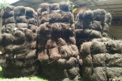 Jual Ijuk Resapan Termurah Gunungkidul - Jual Ijuk Resapan Termurah Gunungkidul Terpercaya