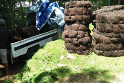 Jual Ijuk Resapan Termurah Kudus - Jual Ijuk Resapan Termurah Kudus Terpercaya