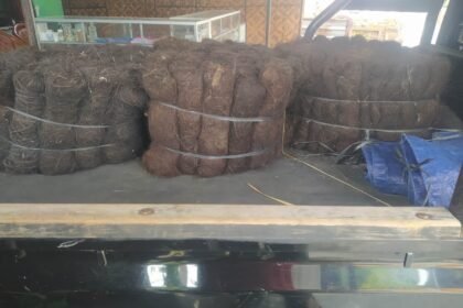 Jual Ijuk Resapan Termurah Langsa - Jual Ijuk Resapan Termurah Langsa Terpercaya