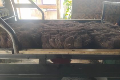 Jual Ijuk Resapan Termurah Magetan - Jual Ijuk Resapan Termurah Magetan Harga Terjangkau