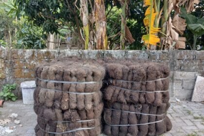 Jual Ijuk Resapan Termurah Pekanbaru - Jual Ijuk Resapan Termurah Pekanbaru Cepat dan Rapi