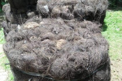 Jual Ijuk Resapan Termurah Sabang - Jual Ijuk Resapan Termurah Sabang Profesional