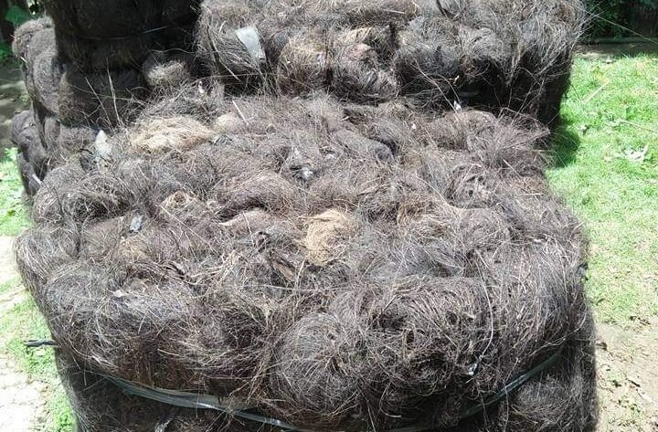 Jual Ijuk Resapan Termurah Sabang - Jual Ijuk Resapan Termurah Sabang Profesional