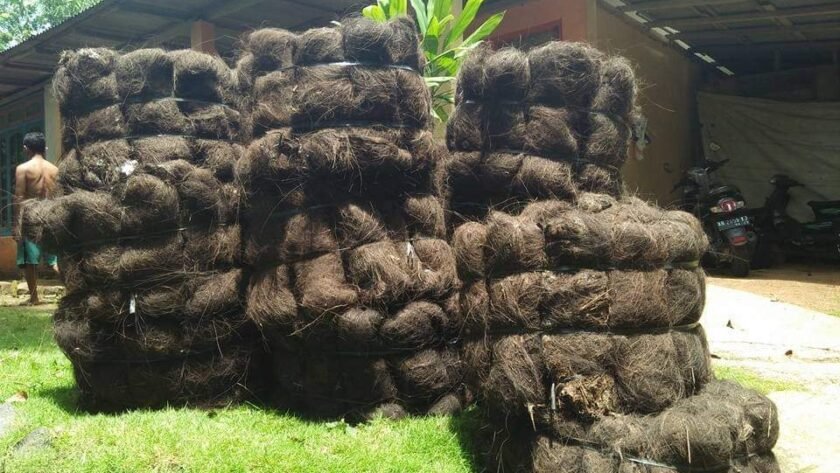 Jual Ijuk Resapan Termurah Tangerang - Jual Ijuk Resapan Termurah Tangerang Harga Terjangkau