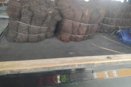 Jual Ijuk Resapan Termurah Tangerang Selatan - Jual Ijuk Resapan Termurah Tangerang Selatan Terpercaya