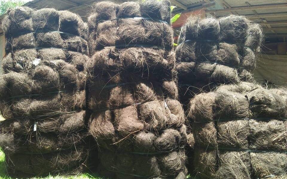 Jual Ijuk Resapan Termurah Timika - Jual Ijuk Resapan Termurah Timika Profesional