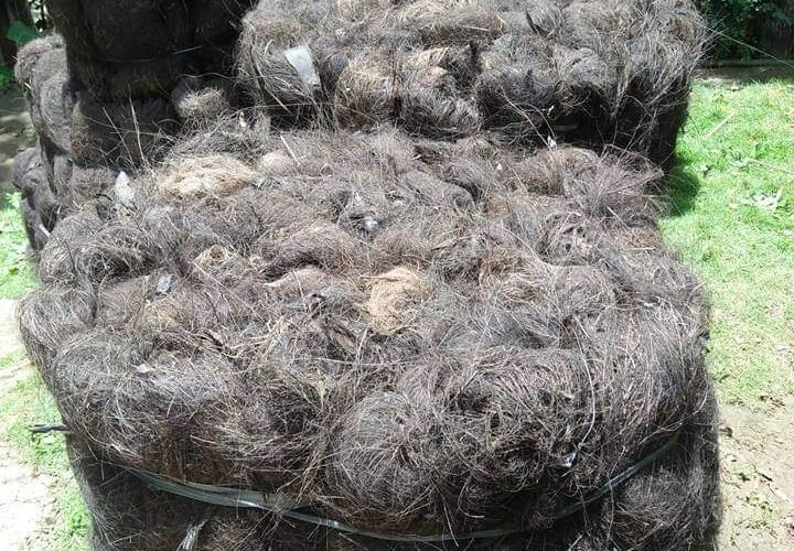 Jual Ijuk Resapan Termurah Trenggalek - Jual Ijuk Resapan Termurah Trenggalek Harga Terjangkau